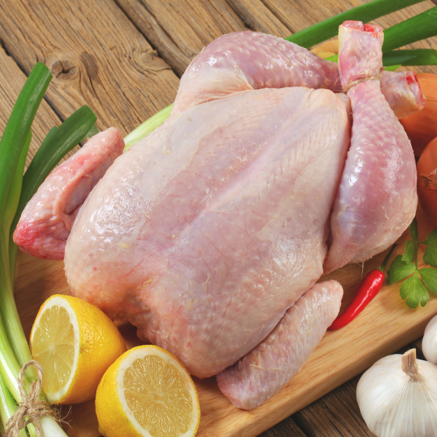 Fresh Chicken